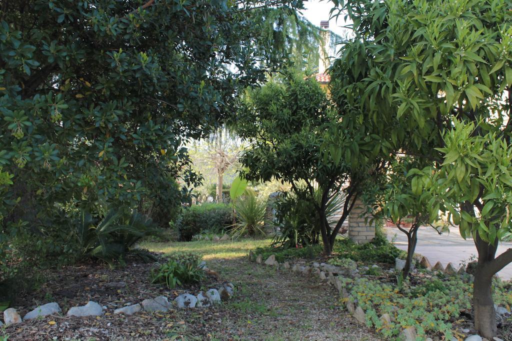 B&B Azzurra Pescara Kültér fotó